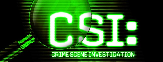 CSI – Season 12