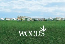 Weeds