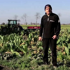 mediacritica_ogni_singolo_giorno_290