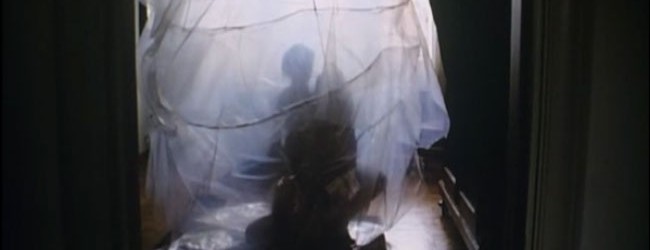 Il giardino delle delizie