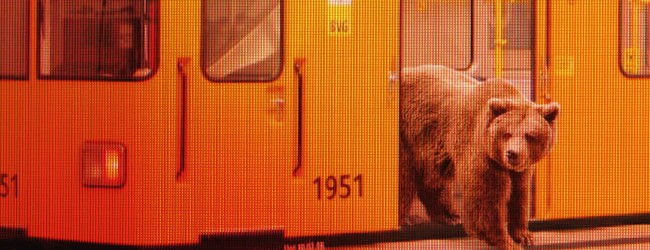 L’idea e il mercato