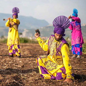 mediacritica_the_harvest_290